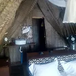 Dolphin Safari Lodge