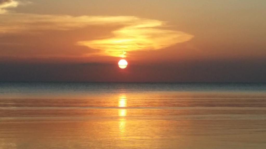 Dolphin Safari Lodge Mahonda