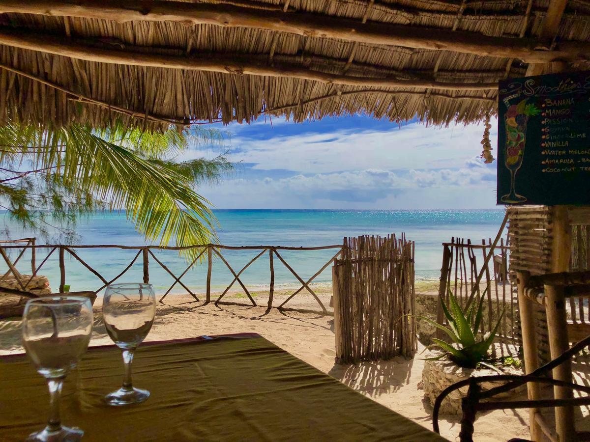 Lodge Dolphin Safari *