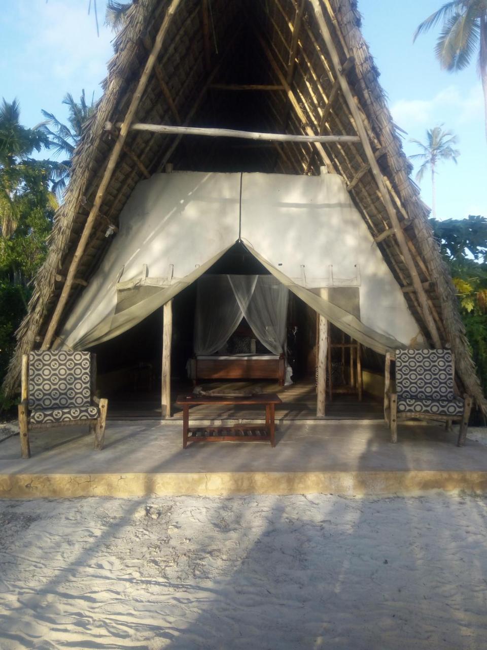 Lodge Dolphin Safari