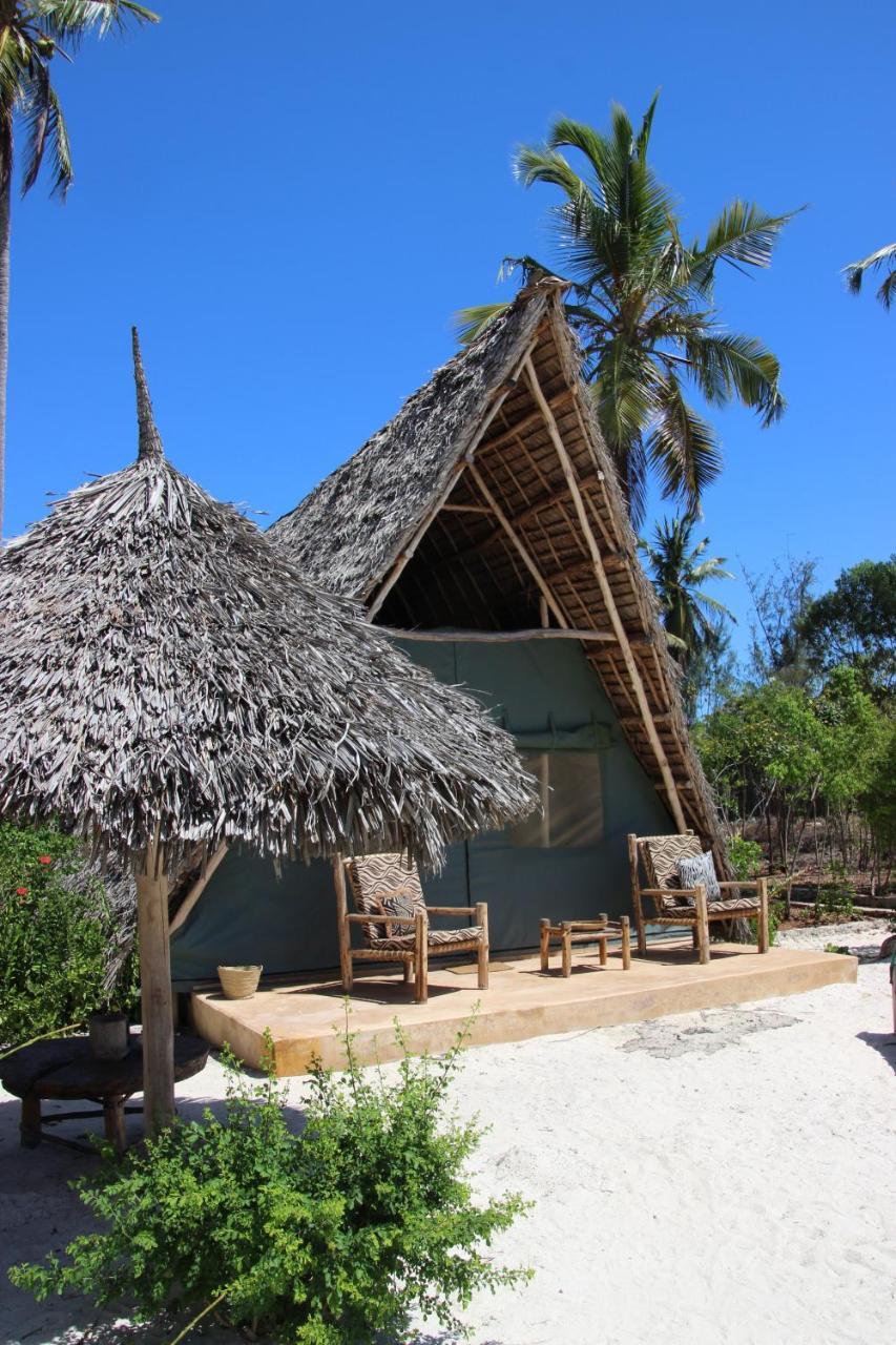 Lodge Dolphin Safari *