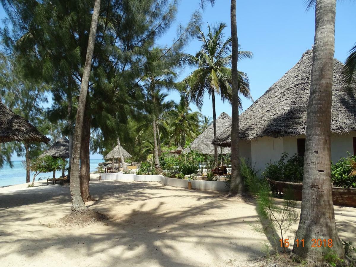 Dolphin Safari Lodge