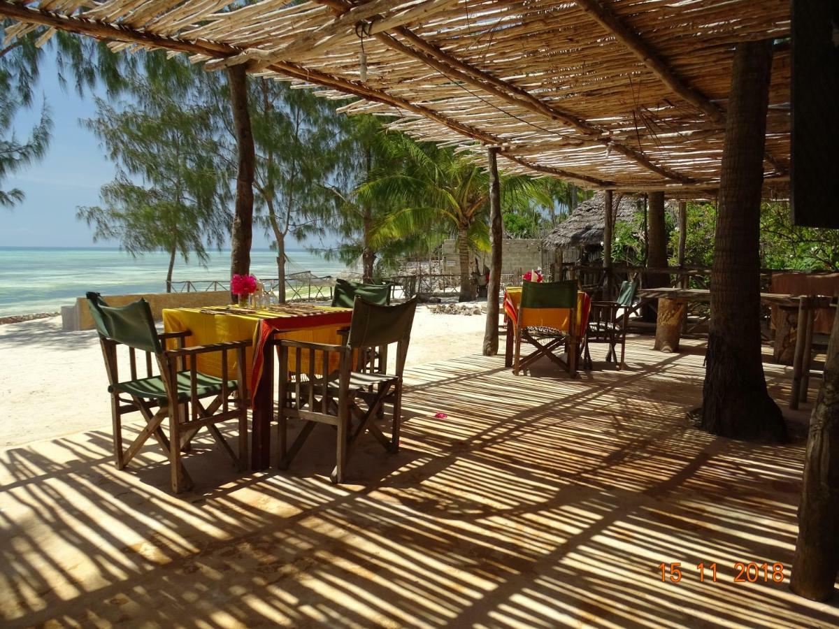Lodge Dolphin Safari