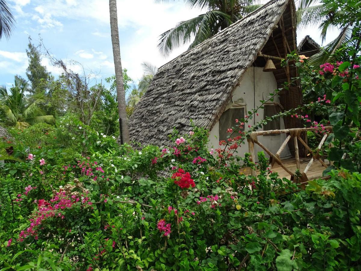 Dolphin Safari Lodge